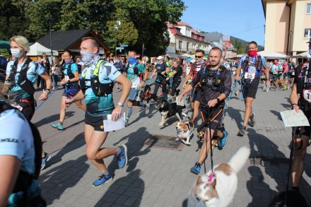 Fragment biegu Pucharu Polski w Dogtrekkingu w Wiśle